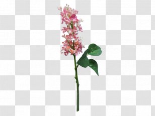 Artificial Flower Cut Flowers Plant Stem Lilac Transparent PNG