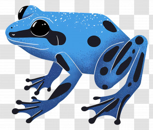 Poison Dart Frog - Blue Poison Dart Frog Transparent PNG