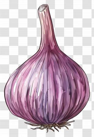 Shallot - Purple Garlic Bulb Illustration Transparent PNG