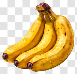 Banana - Fresh Yellow Bananas Illustration Transparent PNG