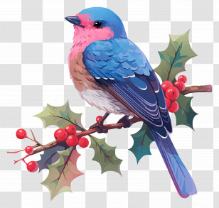 Winter Bird - Blue And Pink Bird On A Holly Branch Illustration Transparent PNG