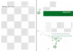 Designer Brand - Paper - Wedding Pictures Transparent PNG