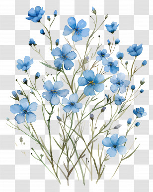 Watercolour Flowers - Beautiful Blue Flowers Watercolor Illustration Transparent PNG