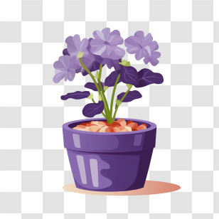 African Violet 
 - Purple Flowers In Pot Transparent PNG