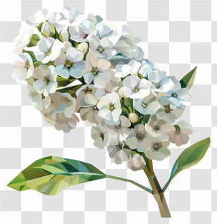 Digital Flower Art - White Flowers With Green Leaves Transparent PNG