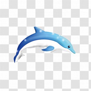 Common Bottlenose Dolphin Tucuxi Short-beaked Porpoise Transparent PNG