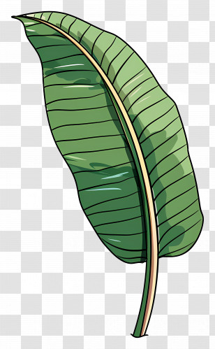 Banana Leaf - Tropical Green Leaf Illustration Transparent PNG