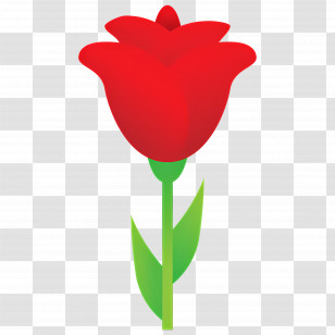 Rose Flower - Red Rose Symbolizing Love And Beauty Transparent PNG