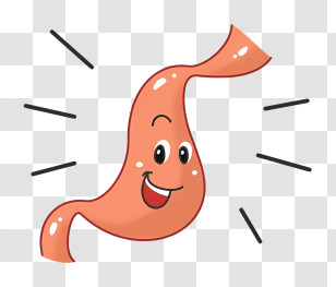 Cartoon Egg - Cartoon Illustration Of A Happy Stomach Transparent PNG