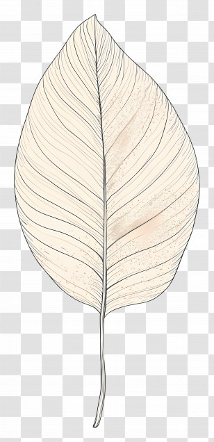 Glitter Leaf - Botanical Leaf Drawing Transparent PNG