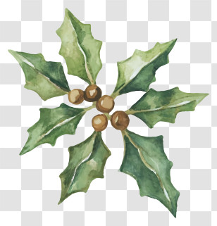 Christmas Tree Painting - Holly Leaves With Red Berries Illustration Transparent PNG