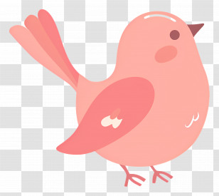 Cute Bird - Cute Pink Bird Cartoon Illustration Transparent PNG