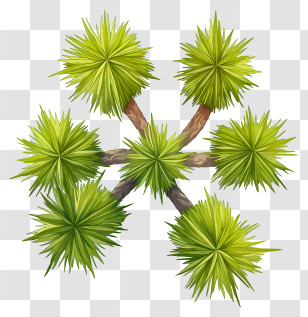 Tree Plan - Green Plant With Multiple Branches Transparent PNG