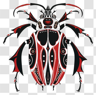 Tibetan Beetle - Red And Black Beetle Illustration Transparent PNG