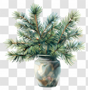 Fir Branches - Pine Branches In Ceramic Vase For Natural Decor Transparent PNG