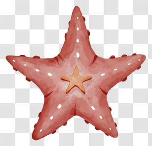 Red Starfish - Cute Starfish Illustration Transparent PNG