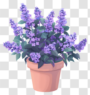 Lilac Flowers In Pot - Beautiful Purple Flowers In A Pot Transparent PNG