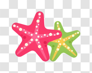 Beach - Bright Starfish Duo In Pink And Green Transparent PNG
