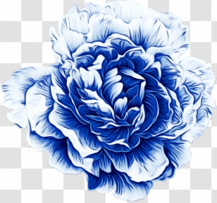 Floral Design Transparent PNG