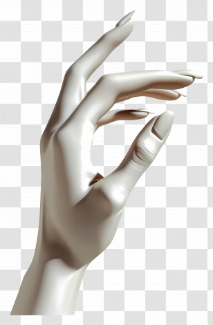 Female Hand - Elegant Hand In Poised Posture Illustration Transparent PNG