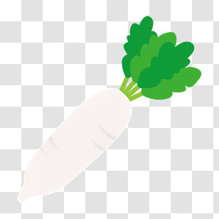 White Carrot - Illustration Of A White Radish With Leaves Transparent PNG