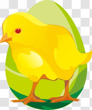 Chicken Paper Cartoon Postcard Clip Art - Fruit - Hand-painted Eggs Chick Green Pattern Transparent PNG