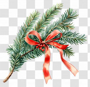 Christmas Tree Branch - Pine Branch With Red Ribbon Transparent PNG