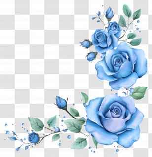Border Rose - Blue Roses Illustration In Watercolor Style Transparent PNG