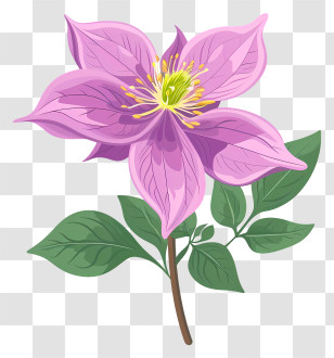 Alaska State Flower - Beautiful Pink Flower With Green Leaves Transparent PNG