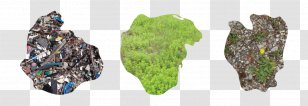 Hunter's Point South Ecology Radiator Gallery Curator Landscape - Body Jewelry - Floating Island Transparent PNG