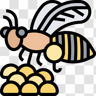 Honey Bee - Bee With Honeycomb Transparent PNG
