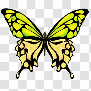 Monarch Butterfly Drawing - Pollinator Transparent PNG