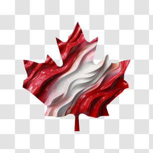 Canada Day
 - Red And White Maple Leaf Transparent PNG