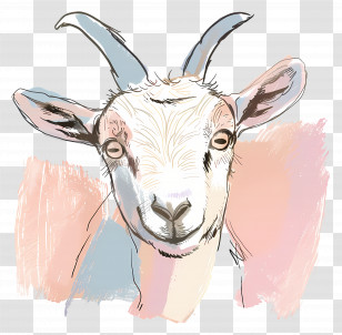 Goat - Cute Goat Sketch Transparent PNG
