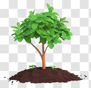 Flat Planting Tree - Young Tree Growing In Soil Transparent PNG
