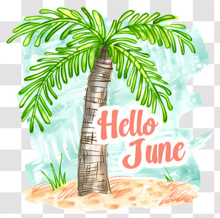 Hello June - Tropical Palm Tree Watercolor Illustration Transparent PNG