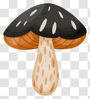 Cartoon - Illustration Of A Black-capped Mushroom Transparent PNG