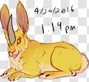 Whiskers Domestic Rabbit Hare Red Fox - Dog Transparent PNG