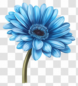 Blue Gerbera - Vibrant Blue Flower With Petals Transparent PNG
