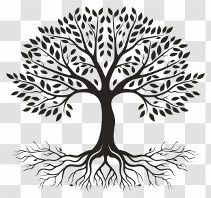 Tree With Roots - Tree With Roots Silhouette Illustration Transparent PNG