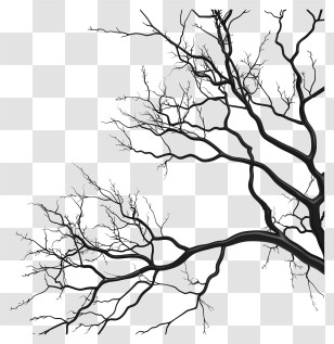 Bare Branches - Silhouette Of Bare Tree Branches Transparent PNG