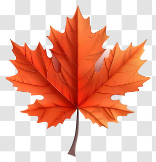 Maple Leaf - Orange Maple Leaf Illustration Transparent PNG