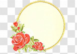 Garden Roses Floral Design Cut Flowers Petal Transparent PNG