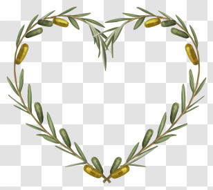 Heart Shape - Heart-Shaped Olive Branch Design Transparent PNG