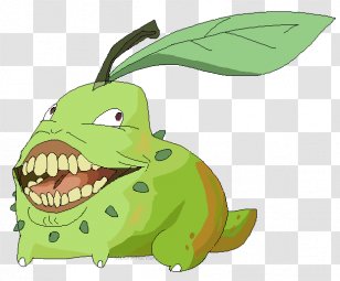 Illustration Reptile Pear Clip Art Fruit - Vegetable - Pores Transparent PNG