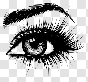 Sexy - Highly Detailed Eye Illustration In Black And White Transparent PNG