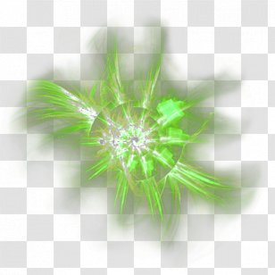Color Light Magic - Plant Transparent PNG