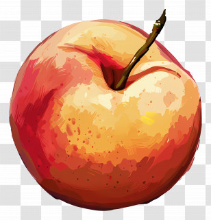 Peach - Realistic Apple Illustration Transparent PNG