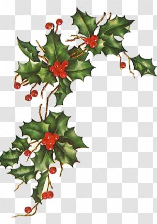 Christmas Love Happiness Wish Blessing - Tree - Ivy Transparent PNG