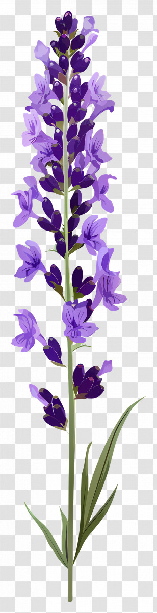 Lavender Flower - Single Stalk Of Purple Lavender Transparent PNG